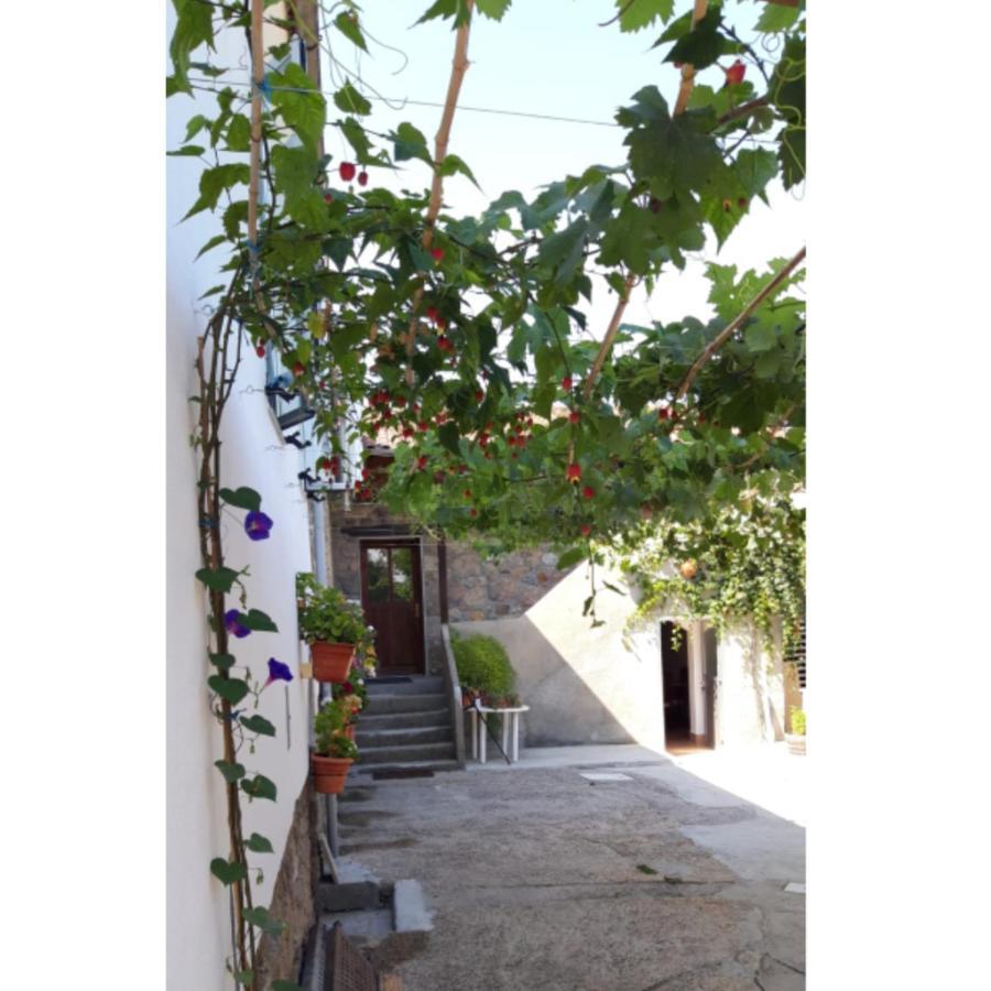 Casa "O Campo" Guest House Sober Ngoại thất bức ảnh